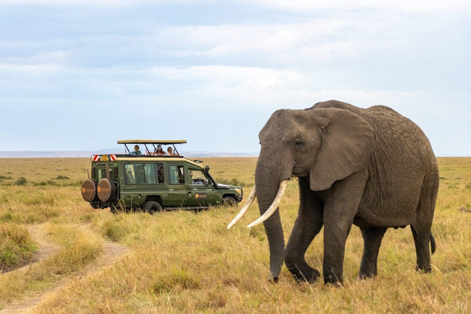 Tsavo East