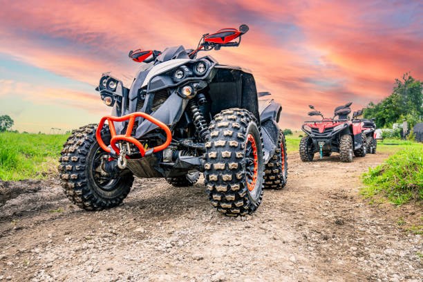 Quad Safari